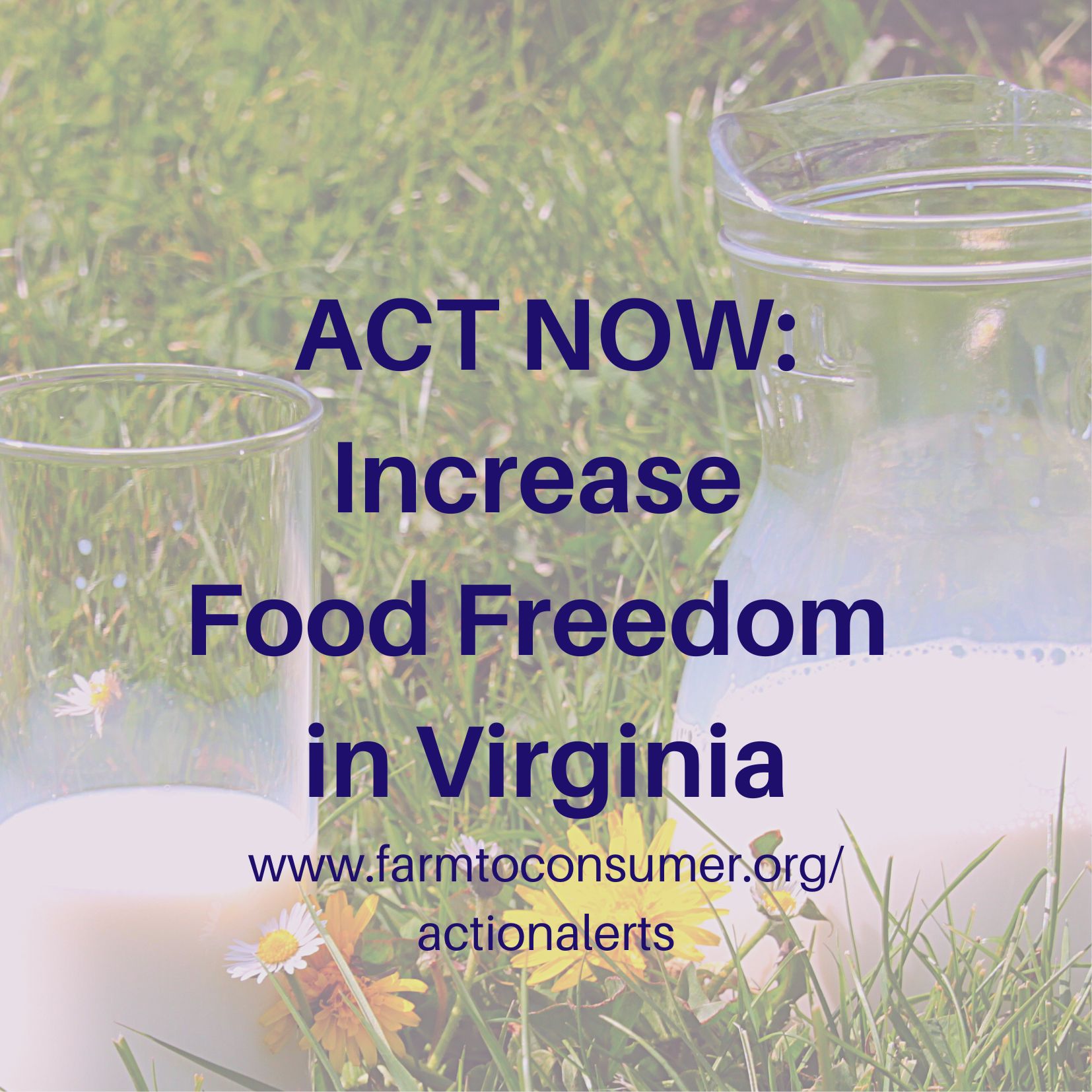 Act Now