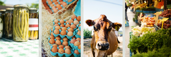 farm fresh foods