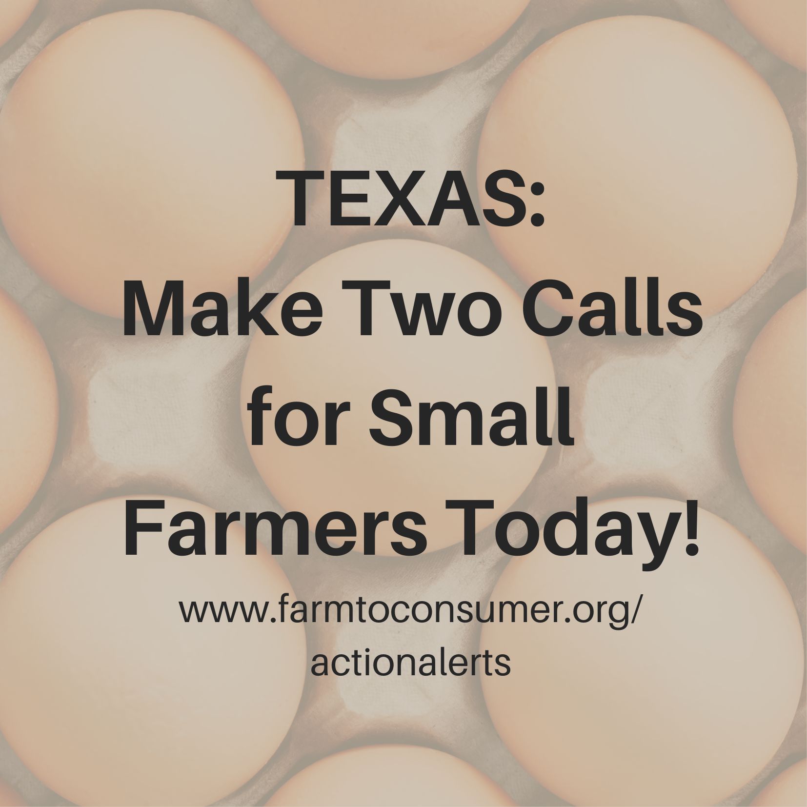 Texas Action Alert