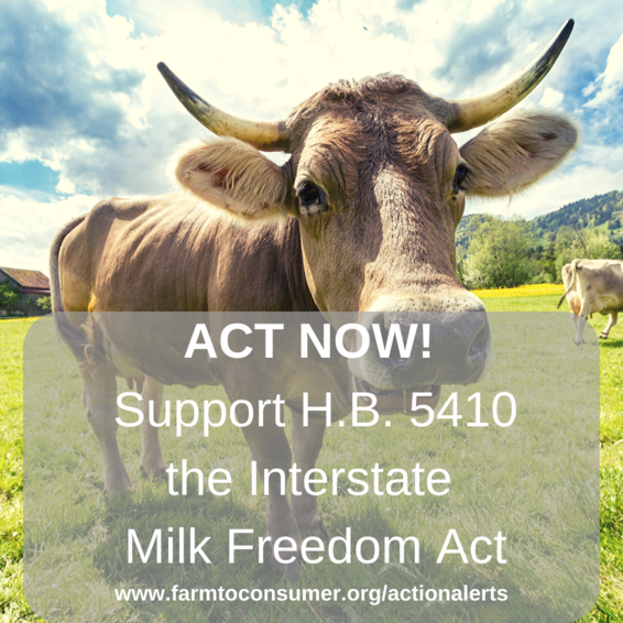 Milk Cow Action Alert