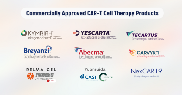 Between 2017 and 2024, nine CAR-T products reached commercialization, and this number is still growing...