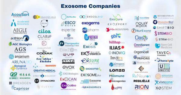 Global Database of Exosome Companies, 2025 - The world’s only database of companies that specialize in developing exosome therapies, diagnostics, and platform technologies.