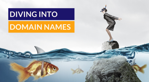 Diving into domain names