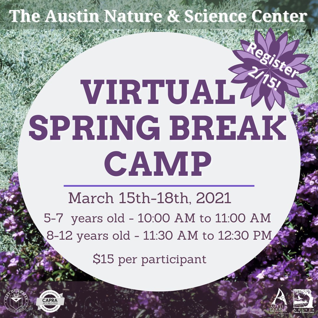 Virtual Spring Break Camp from Austin Public Health; click to register