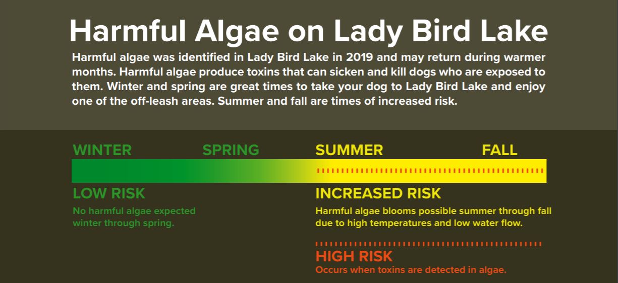 Harmful Algae on Lady Bird Lake (summer and fall are highest risk seasons)