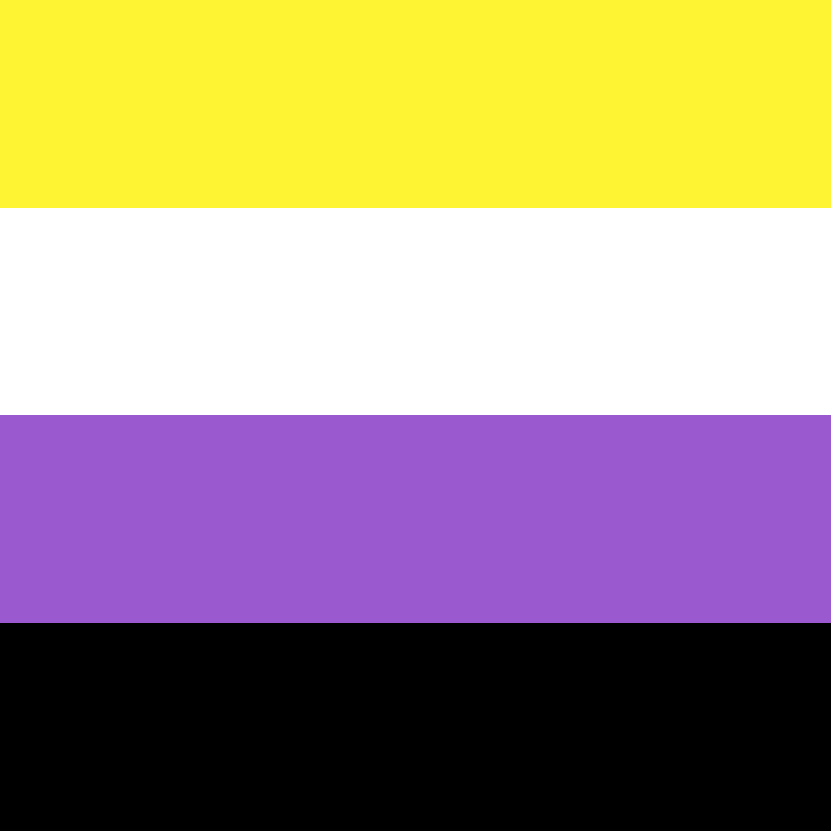 The Nonbinary Pride Flag, represented by four horizontal stripes of yellow, white, purple, and black.
