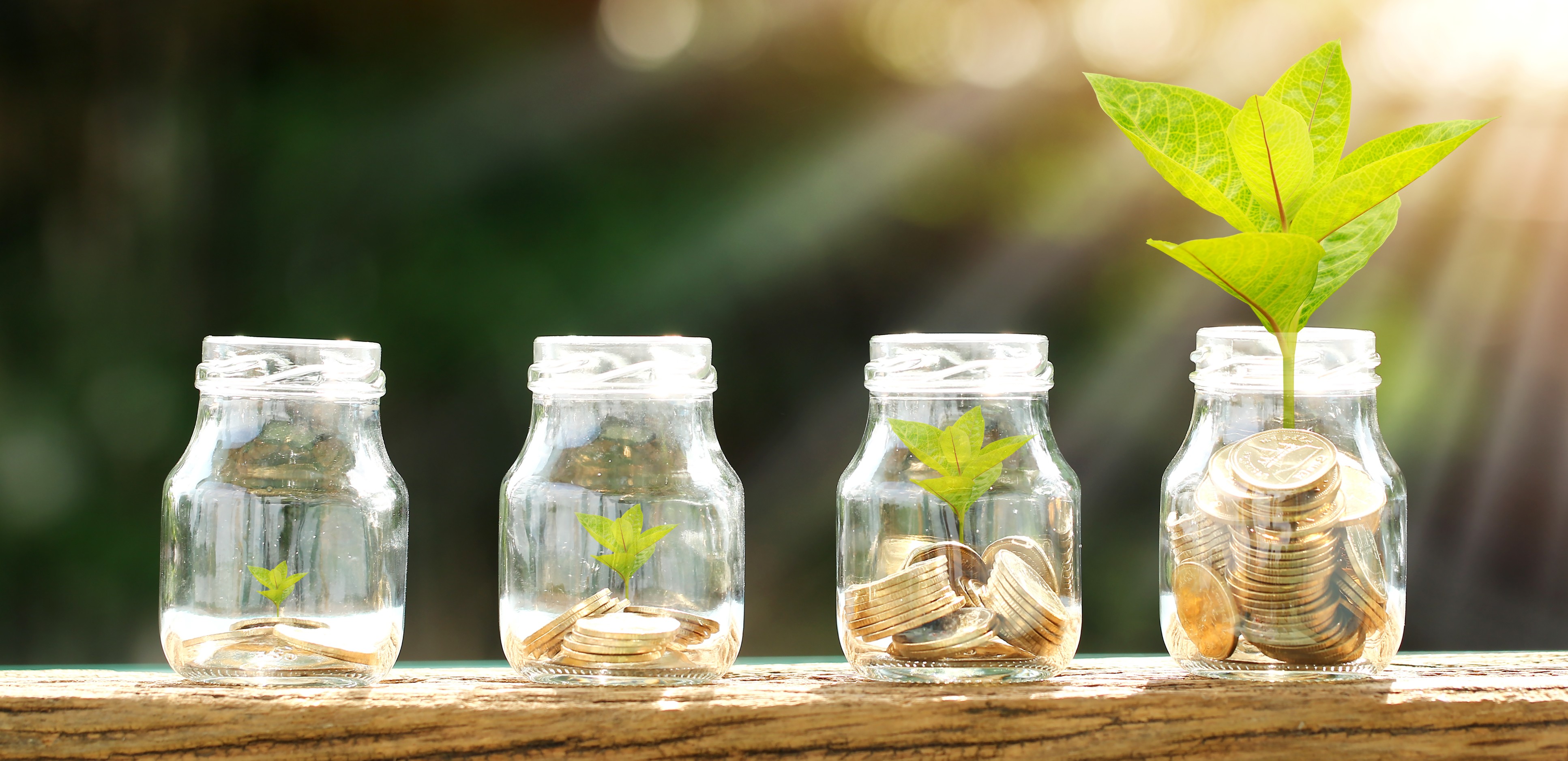 An image of four mason jars outdoors. Moving left to right, each jar has progression more coins and a larger plant in it.
