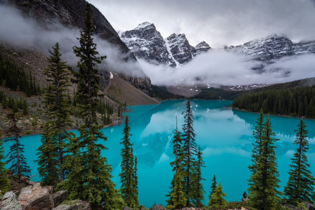 Photo from Banff National Park in Canada: The foreground is several towering evergreen trees over a light blue lake, with clouds above and snow-covered rocky mountains in the background.