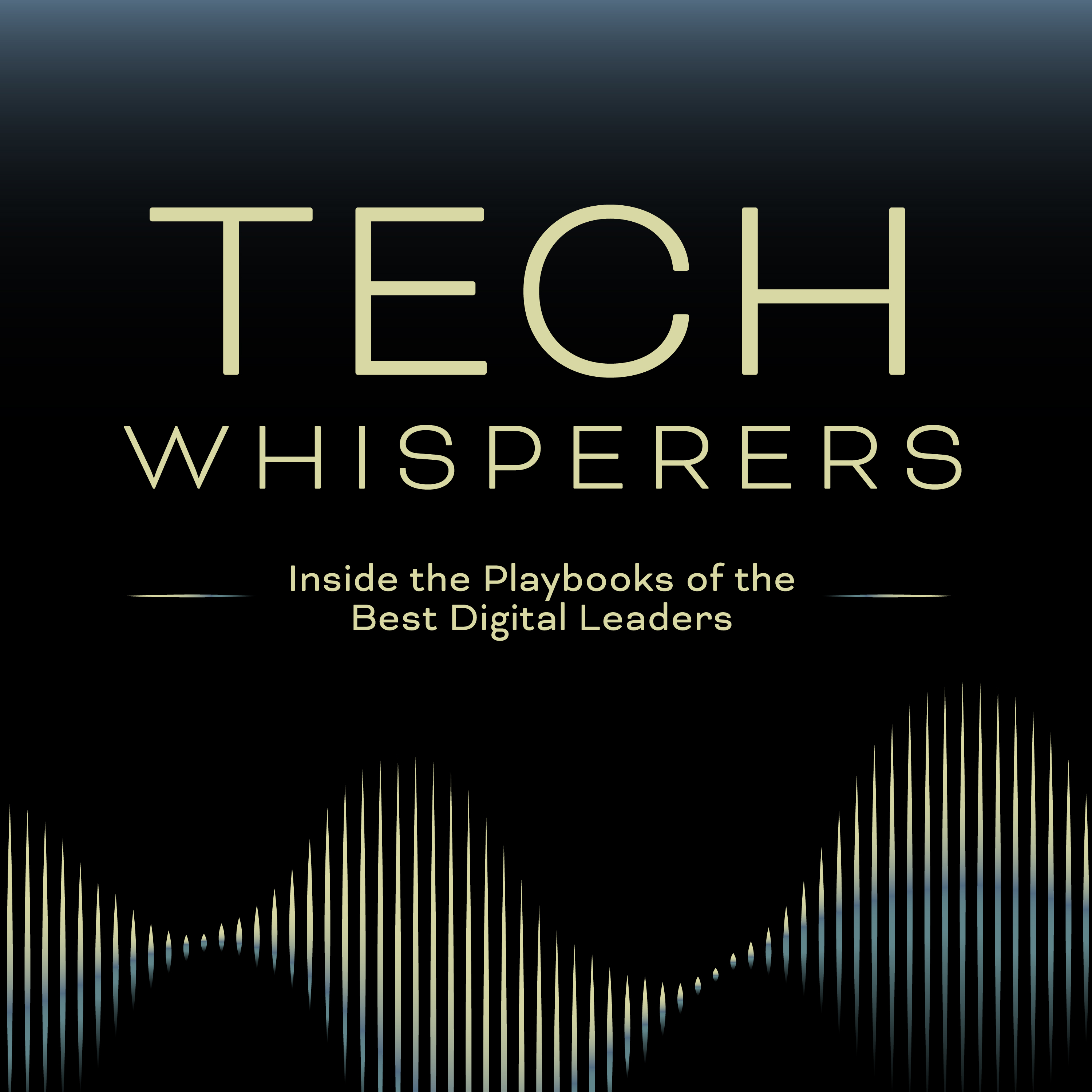 Inside the Playbooks of the Best Digital Leaders
