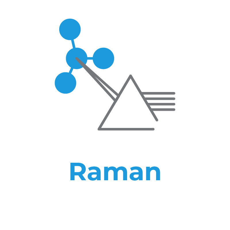 Rigaku Raman icon