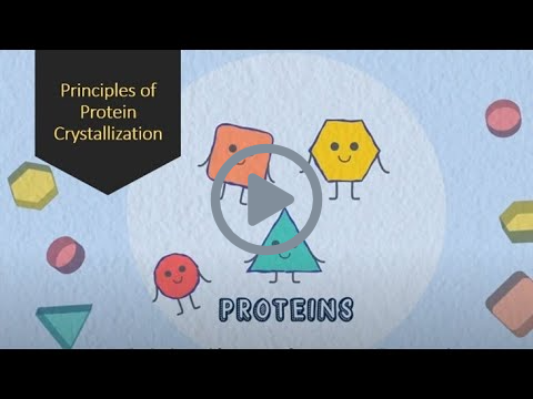 Principles of Protein Crystallization