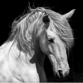 April 24 To May 5 Fiestas Of The Santísima Y Vera Cruz And The Running Of The Wine Horses 2023 In Caravaca
