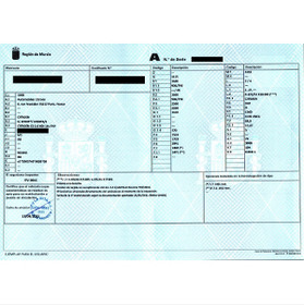 Understanding your vehicle registration document