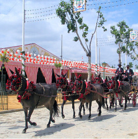 Torrevieja May Fair