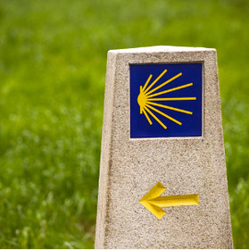 The Camino de Santiago