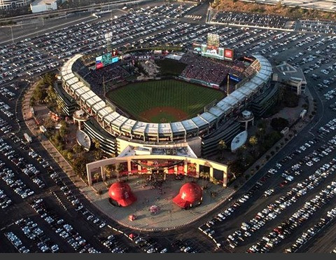 Los Angeles Angels