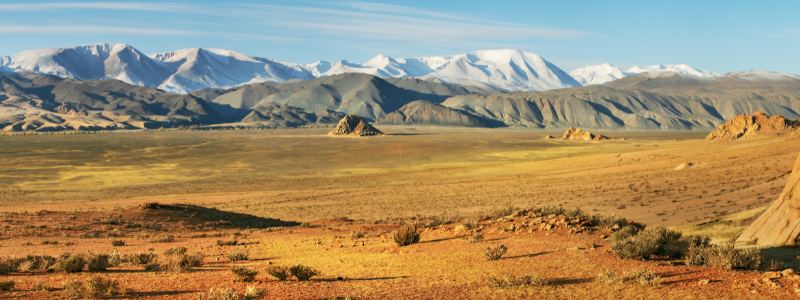 Bild aus der Mongolei mit weissen Bergen im Hintergrund